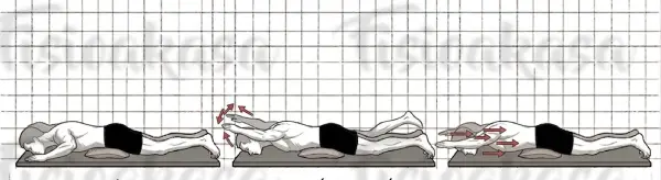 Lumbar brazos adelante
